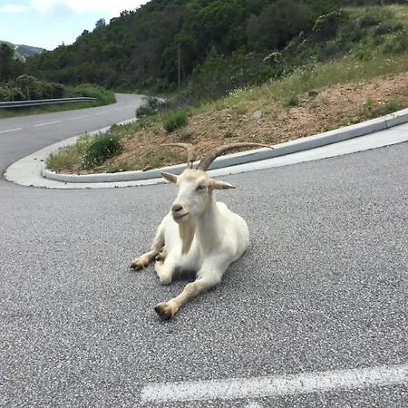 別荘 Lena - Maison, Terrasse Vue Mer, Clim - By Tgb
