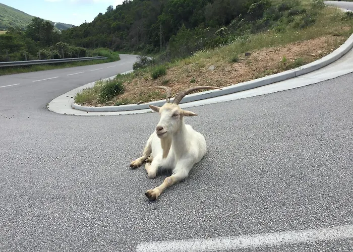 Vakantiehuis Lena - Maison, Terrasse Vue Mer, Clim - By Tgb